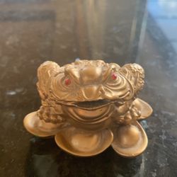 Gold Frog