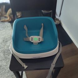Chair Booster Seat/Highchair