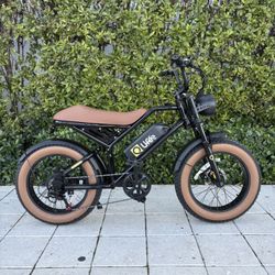 QLIFEE EBIKE (Bicicleta Electrica)