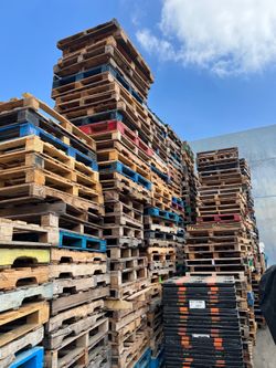 $3.00 pallets 100+