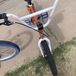 SE P.K Ripper 20 Inch Bmx