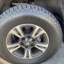Dumbells Set Of Tires + Rims 