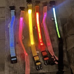 Dog Collars (Lighted)