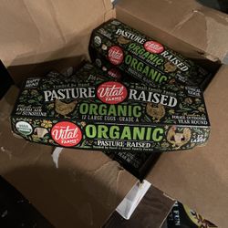 Organic Eggs Grade A 