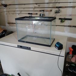Standard 20 Gallon Aquarium 