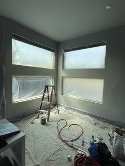 Painter