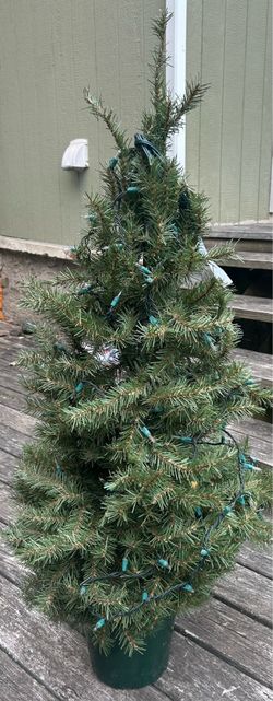 Mini Christmas Tree.