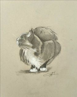 Pencil Drawing Cat Portrait, 11x14