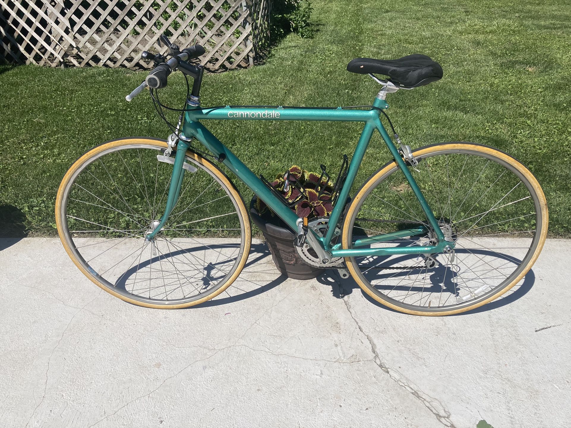 Cannondale Road Bike