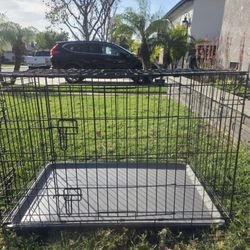 Dog Crate