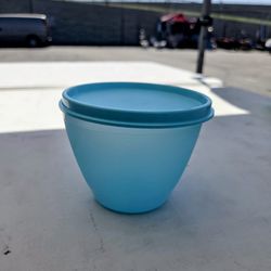 Tupperware Small Blue Storage Container w/Lid