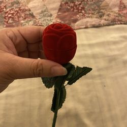 Red Rose Flower 🌹 Ring Case 