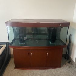 150 Gallon Bow front Aquarium 