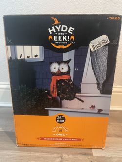 New Open Box Halloween Lit Owl