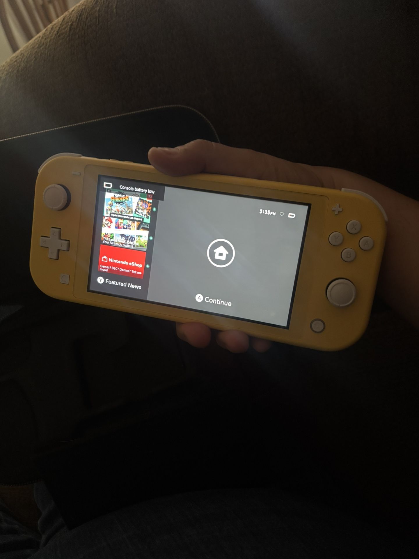 Nintendo Switch Light