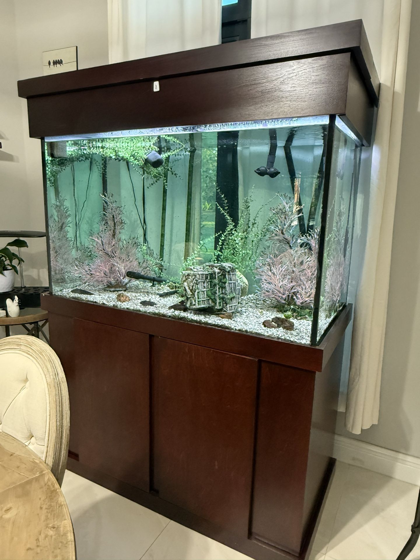150 gal Fish Tank