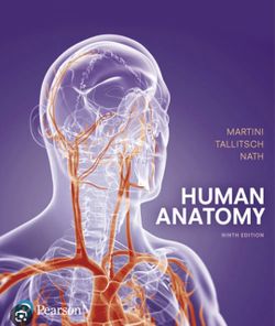 Human anatomy textbook 9th edition