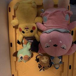 Pokémon Plushes