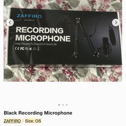 Zaffiro Recording Microphone