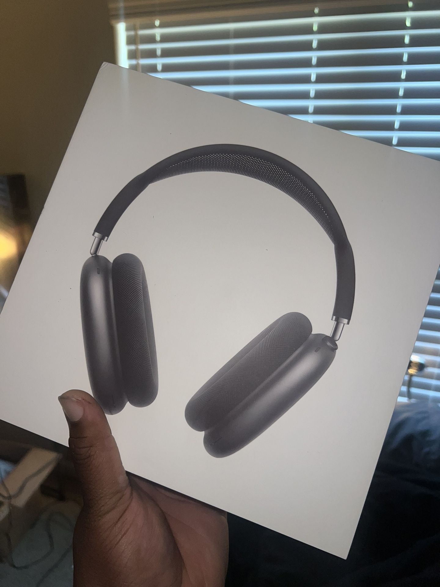 Airpod Maxes Usb- C