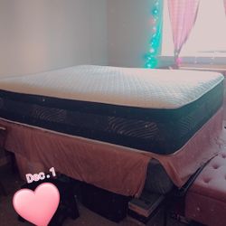 Tall Bed Queen SIZE. Come Get It.