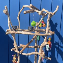 Thick And Curvy BIG BOY Macaw Perch Tree… Perfect For That Gnarly Macaw Or Cockatoo!!
