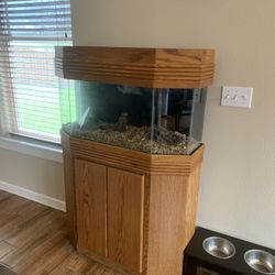 Fish tank And Cabinet 