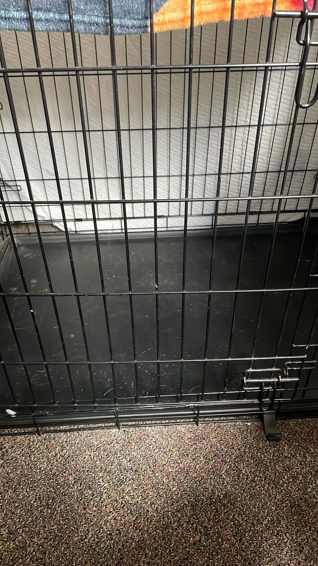 Dog Cage.