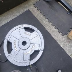 100 Lbs Weight Plate 