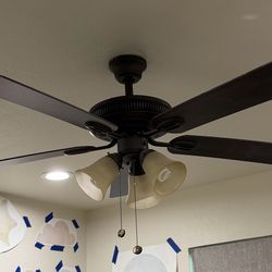 Hampton Bay Ceiling Fan