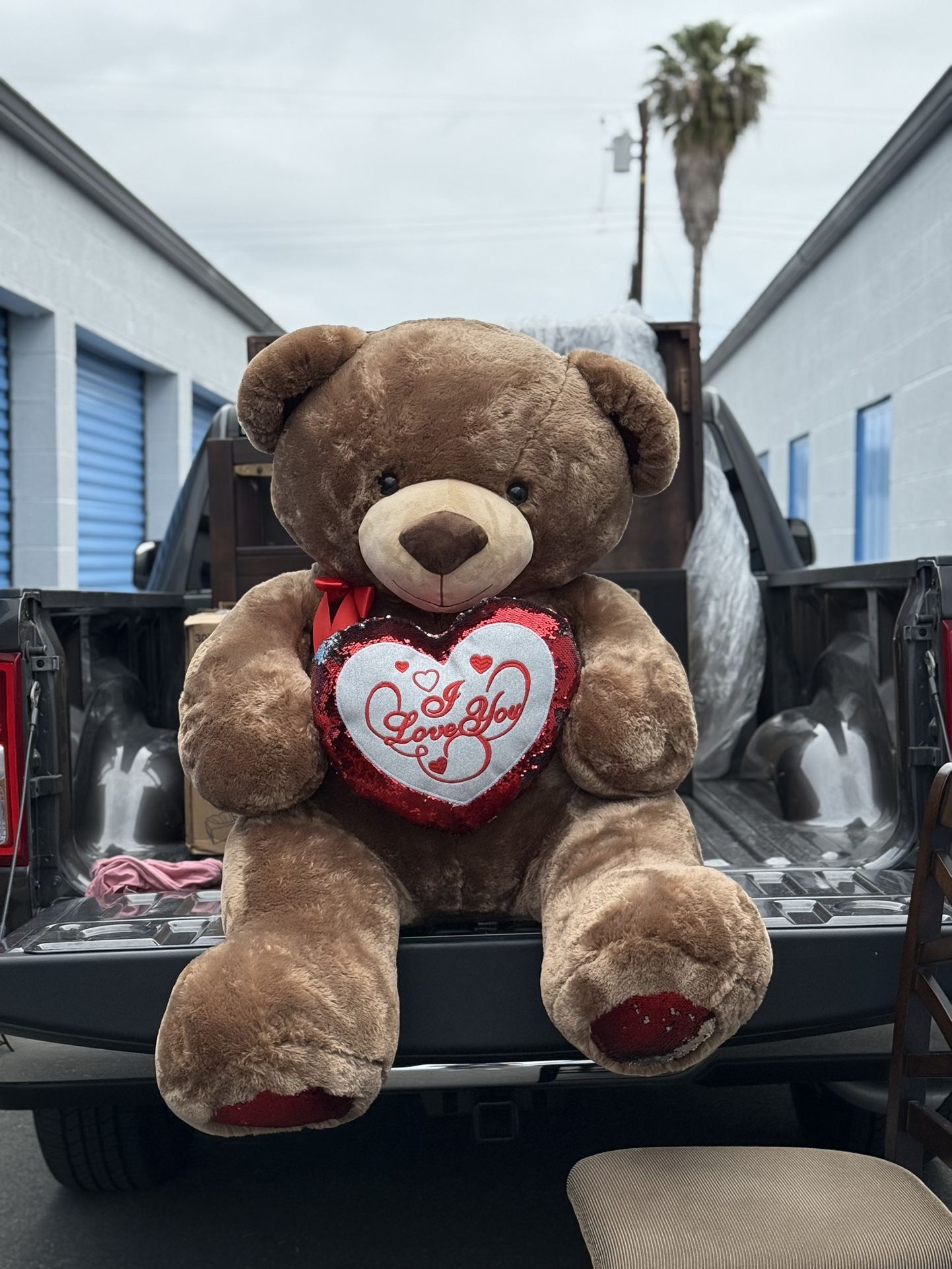 Big Teddy Bear