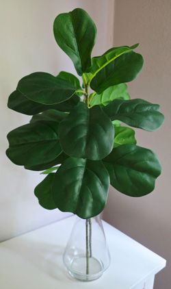 Artificial fiddle leaf fig branch stems x 2 (25-inch)
