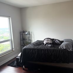 Queen Bed frame , Mattress, And box Spring need gone