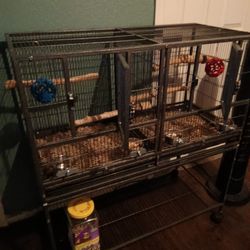 Bird Cage 