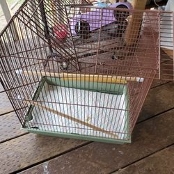 Bird Cage 
