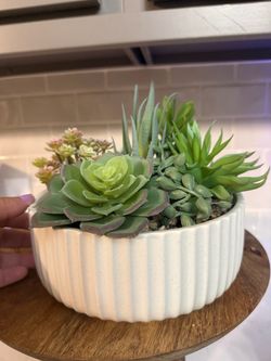 Plant