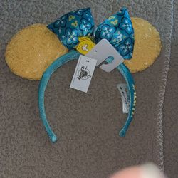 Disney Ears Saluti