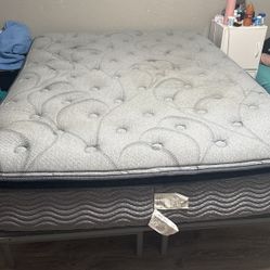 Very Comfortable Queen Bed