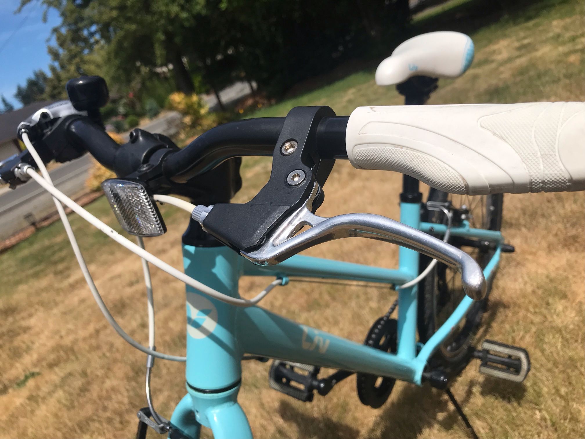 Liv (Giant sister brand) Alight 20” girls’ bike