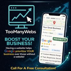 Need a Professional Website?