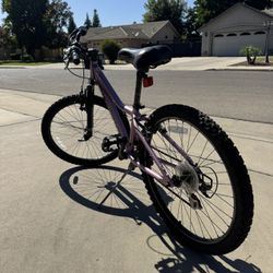 Diamondback Octane 24