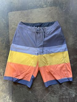 Patagonia Hydro Series Board Shorts (sz 29)