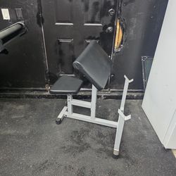 preacher curl bench