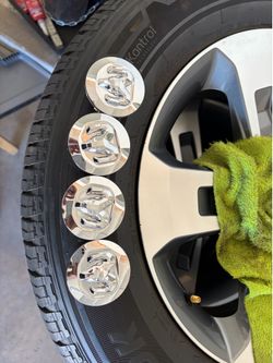 Ram tire plug