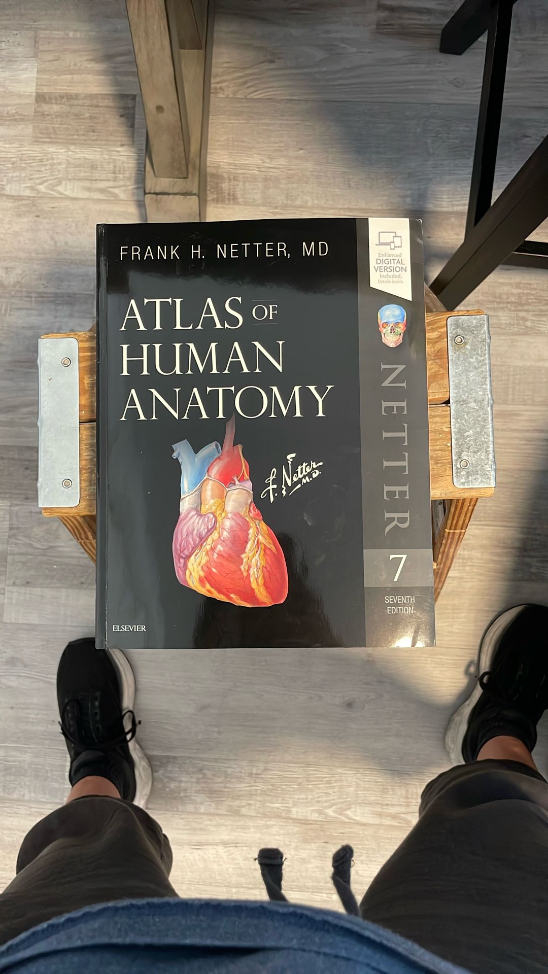 Atlas Of The Human Body By Frank Netter