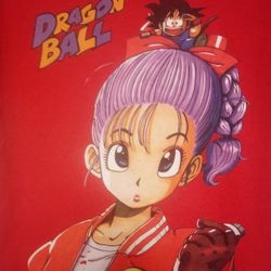 Dragon Ball Z Super Goku Bulma Shirt Men's S