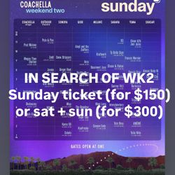 Looking For Sunday Wristband Wk 2