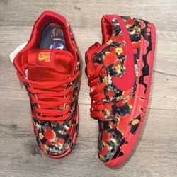 Nike Dunk “wizard of Oz” size 9.5 brand new