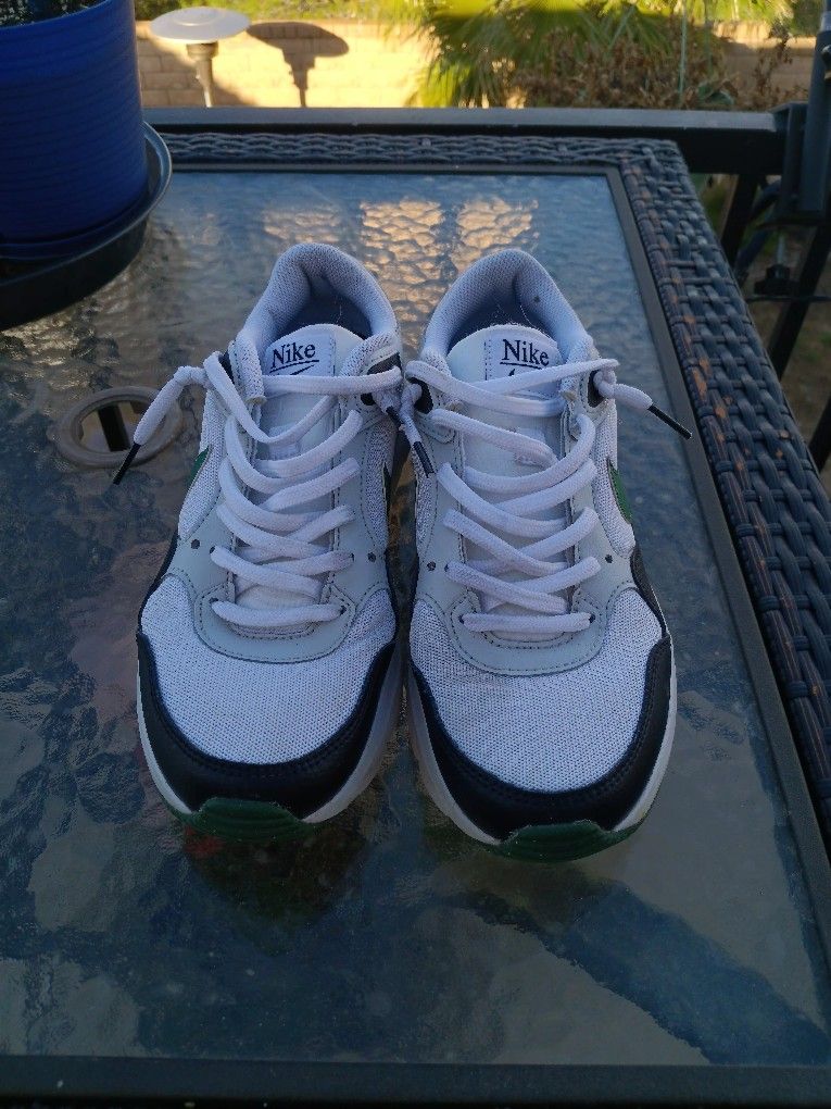 Nike Air Max SC in the white, black, and gorge green colorway.