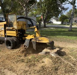 Stump Grinding